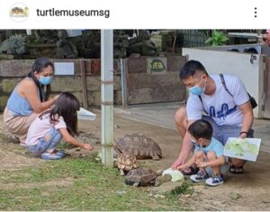 Kids playing with turtles in Turtle farm