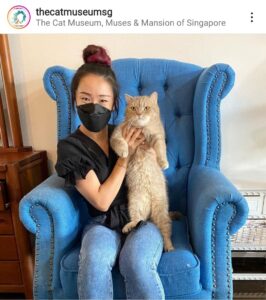 Cat Museum and cat farm in Singapore