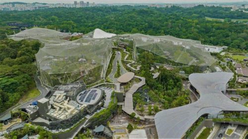 Picture showing Birds eye-view of the Bird Paradise Mandai