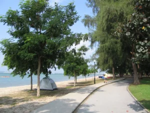 Changi Beach Park from Changi Jurassic Mile park