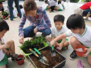 Kids Taking Part in Outdoor Activities - Educational Field Trips in Singapore
