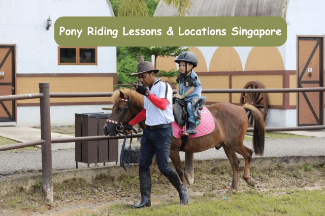 Pony Riding Lessons and Locations in Singapore
