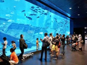 A Family Enjoying the Aquarium - Educational Field Trips in Singapore