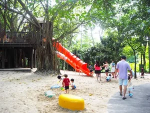 A Preschooler Smelling Flowers - Educational Field Trips in Singapore
