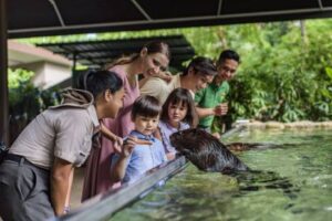 Preschool Kid Feeding an Otter - Educational Field Trips in Singapore
