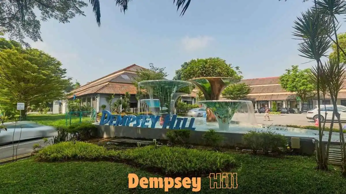 Things to do and restaurants near dempsey hills