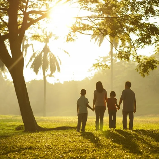 A family of four holding hands and walking towards the sunset in a beautiful park, symbolizing unity, connection, and tranquility.