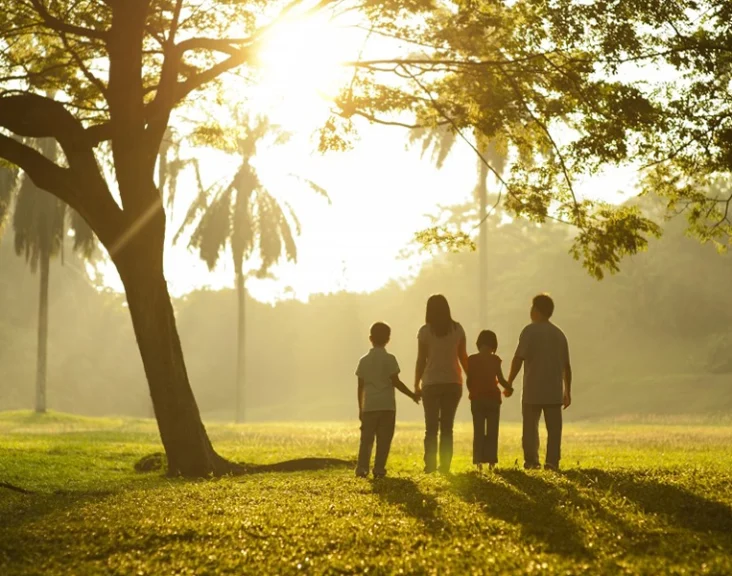 A family of four holding hands and walking towards the sunset in a beautiful park, symbolizing unity, connection, and tranquility.