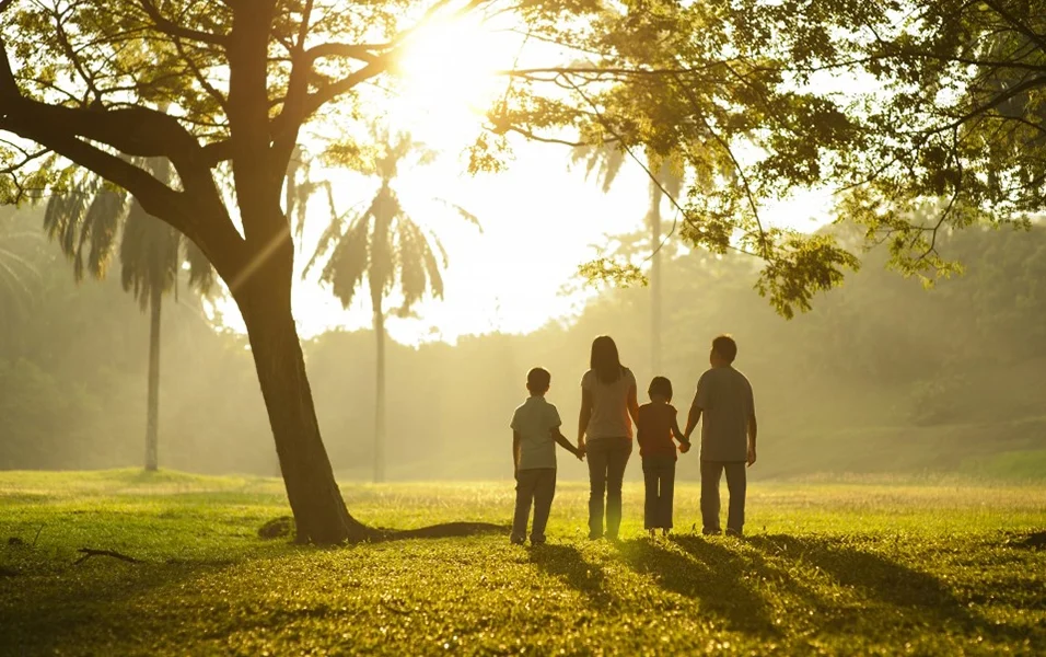 A family of four holding hands and walking towards the sunset in a beautiful park, symbolizing unity, connection, and tranquility.