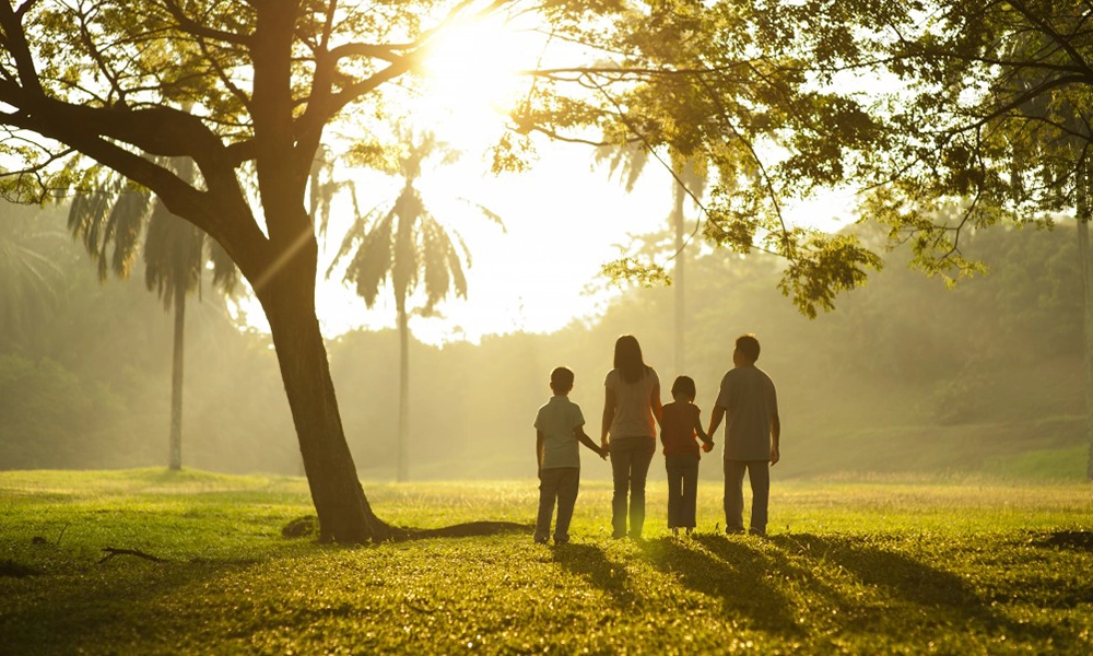 A family of four holding hands and walking towards the sunset in a beautiful park, symbolizing unity, connection, and tranquility.