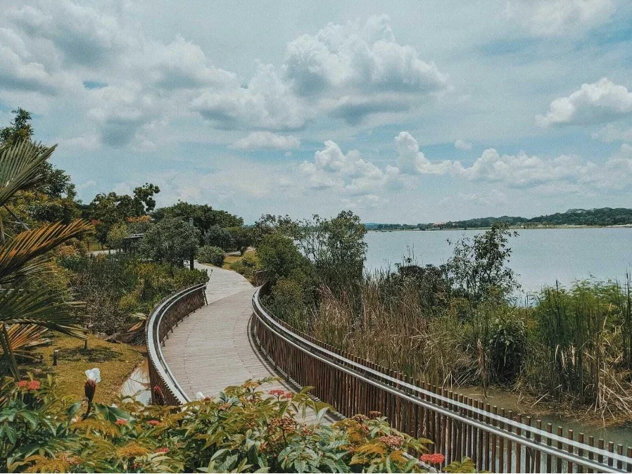 Wooden boardwalk curving along the edge of a reservoir, surrounded by greenery and peaceful waters.