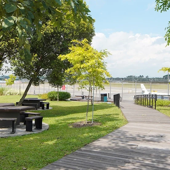 Picnic tables and benches placed under the shade of trees next to a wooden boardwalk at Seletar Aerospace Park, with a view of an airport runway in the background, offering a serene outdoor dining experience.