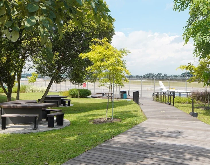 Picnic tables and benches placed under the shade of trees next to a wooden boardwalk at Seletar Aerospace Park, with a view of an airport runway in the background, offering a serene outdoor dining experience.