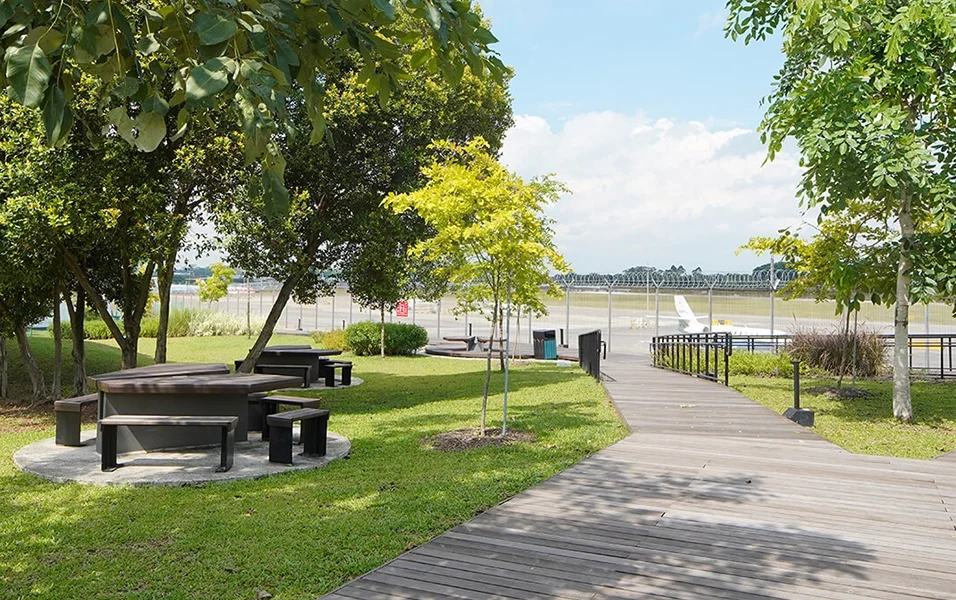 Picnic tables and benches placed under the shade of trees next to a wooden boardwalk at Seletar Aerospace Park, with a view of an airport runway in the background, offering a serene outdoor dining experience.