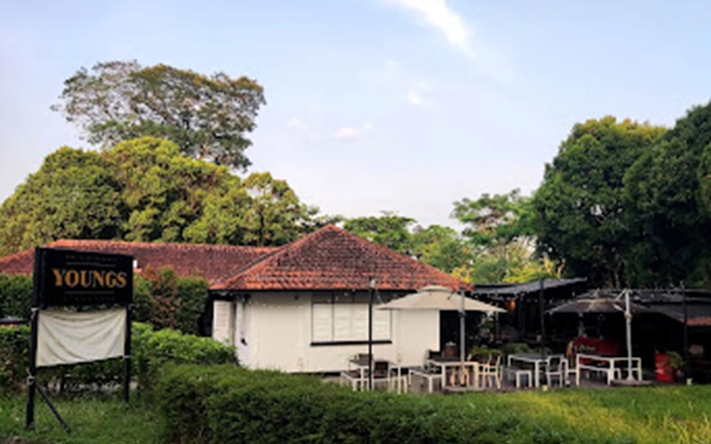 Casual dining with outdoor seating in a quiet, greenery-filled setting.