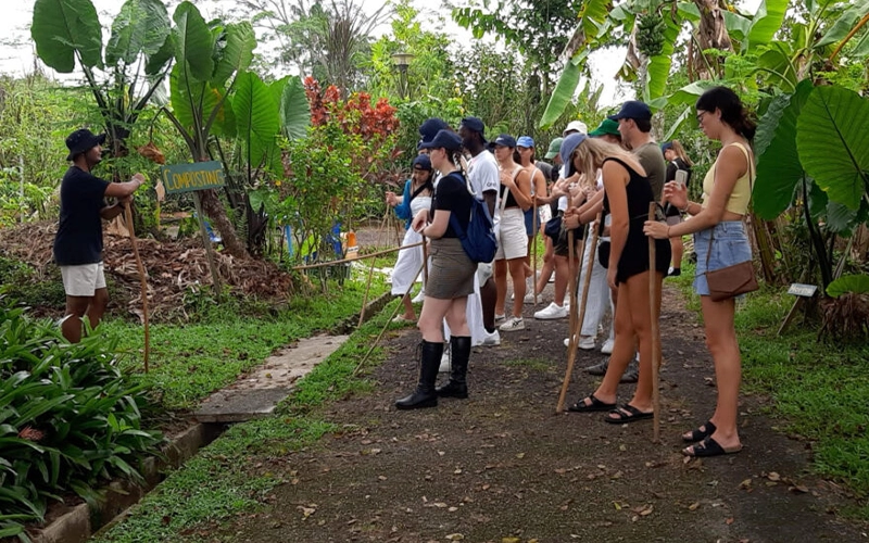 A group of people attentively listening to a guide at one of the vegetable farms in Singapore, during a farm tour. The guide is explaining composting techniques, surrounded by tropical plants.