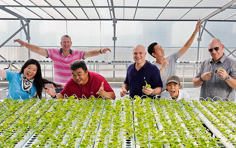 A group of people, excited and smiling, stand around a table of hydroponically grown plants at one of the urban vegetable farms in Singapore. The table is filled with rows of green, leafy vegetables grown in water-based systems.