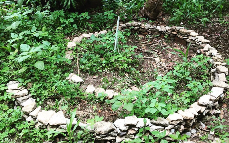 A small herb garden enclosed by a stone circle, filled with various small plants growing in a natural and rustic outdoor setting.