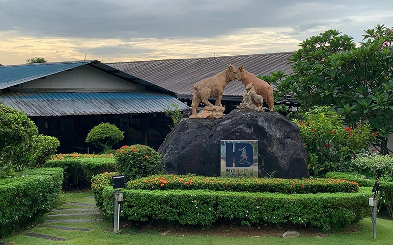 A sculpture of two goats is displayed on a large rock at the entrance of Hay Dairies. Well-manicured greenery surrounds the rock, and a sign for the dairy farm is displayed at the base.