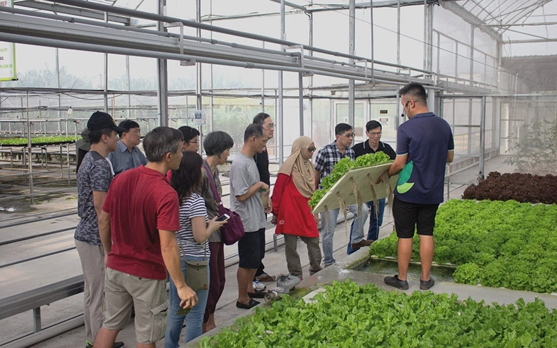 A group of visitors is gathered inside a greenhouse, listening to a farm worker holding a tray of lettuce. Rows of hydroponic plants can be seen growing in the background.